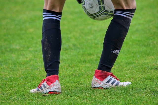 来提高自己 来提高自己