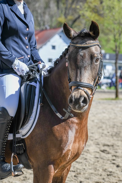 手的实力不 手的实力不