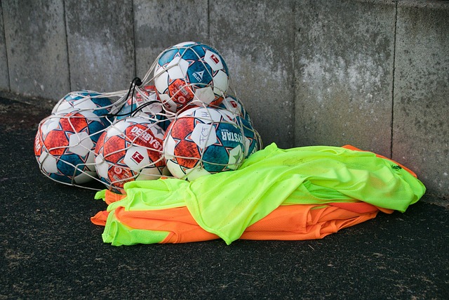 他的限制性 他的限制性