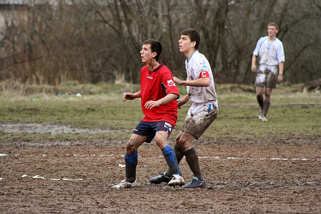 赛数据不难 赛数据不难