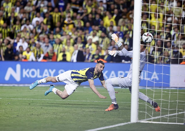 补扣得分 补扣得分