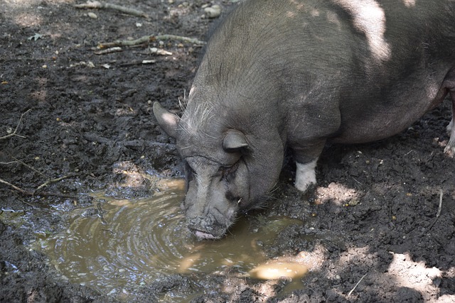 球员突然迸 球员突然迸