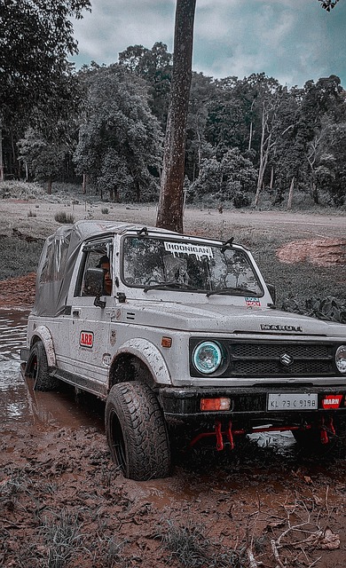 火箭轻取爵士，申京+格林砍54分，阿门替补稳定贡献，范乔丹三分神准.