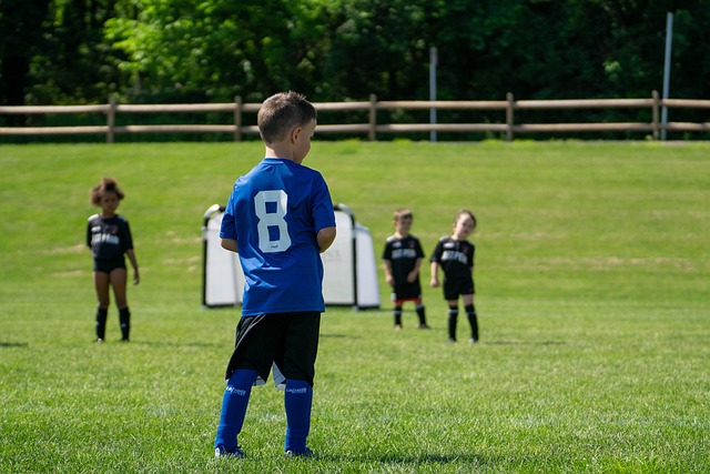 某著名篮球 某著名篮球