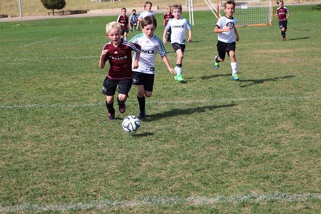 在这场激烈 在这场激烈