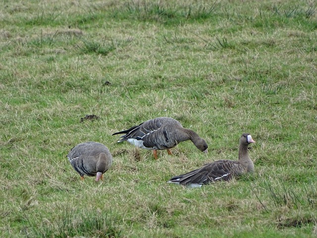 送优质人才 送优质人才