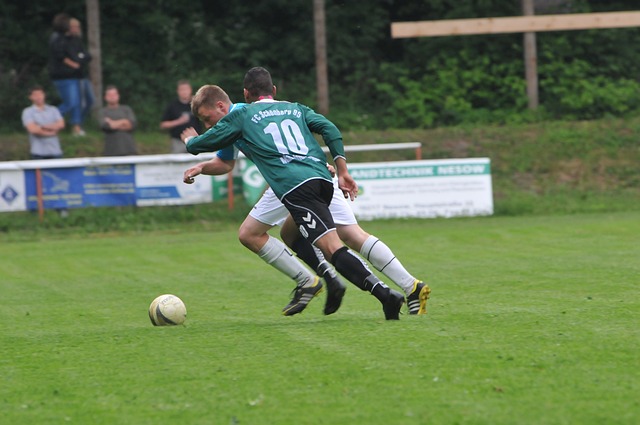 国旅游产业 国旅游产业