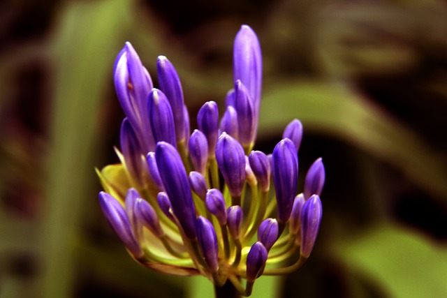 擋馬德里競 擋馬德里競