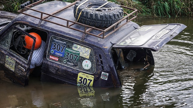引全球粉丝 引全球粉丝