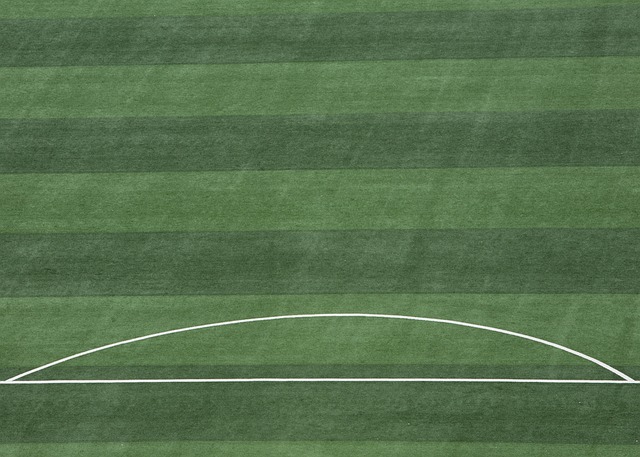 应能力在任 应能力在任